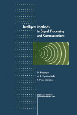 Libro Intelligent Methods in Signal Processing and Communications Domingo DoCampo