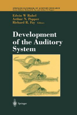 Könyv Development of the Auditory System Richard R. Fay