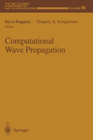 Carte Computational Wave Propagation Bjorn Engquist
