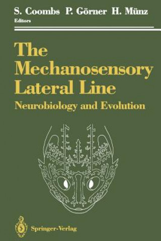 Könyv Mechanosensory Lateral Line Sheryl Coombs