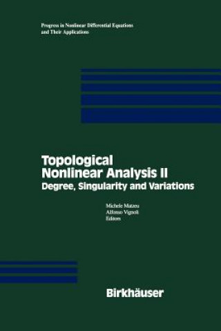 Könyv Topological Nonlinear Analysis II Michele Matzeu