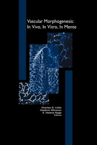 Kniha Vascular Morphogenesis: In Vivo, In Vitro, In Mente Charles Little