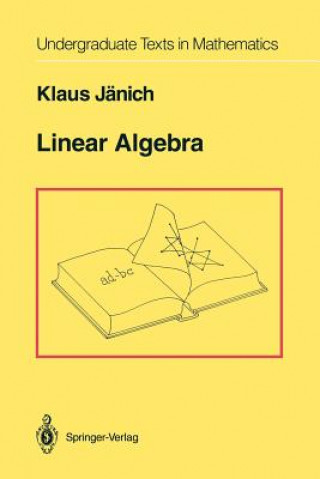 Libro Linear Algebra Klaus Jänich