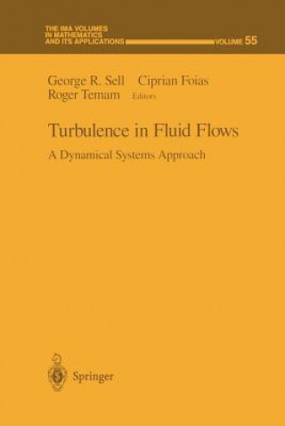 Kniha Turbulence in Fluid Flows Ciprian Foias