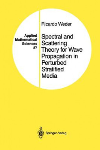 Könyv Spectral and Scattering Theory for Wave Propagation in Perturbed Stratified Media Ricardo Weder