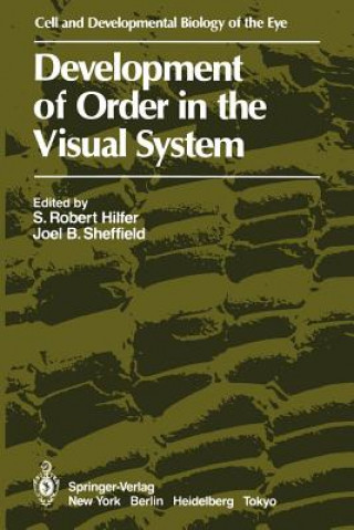 Könyv Development of Order in the Visual System S. Robert Hilfer