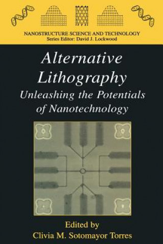 Βιβλίο Alternative Lithography Clivia M. Sotomayor Torres