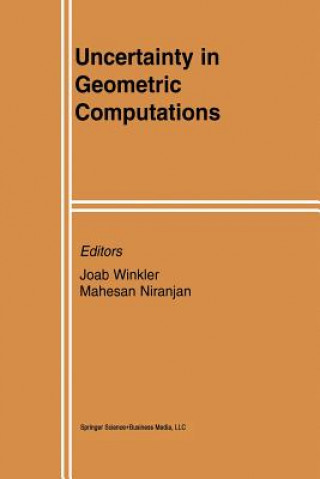 Książka Uncertainty in Geometric Computations Mahesan Niranjan