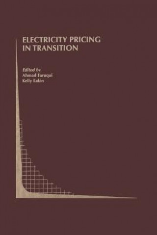 Carte Electricity Pricing in Transition Kelly Eakin