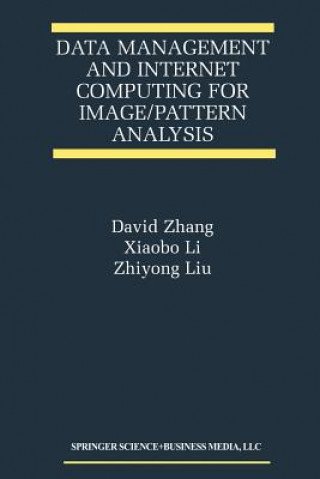 Книга Data Management and Internet Computing for Image/Pattern Analysis David D. Zhang