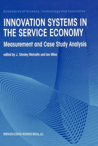 Buch Innovation Systems in the Service Economy J Stanley Metcalfe