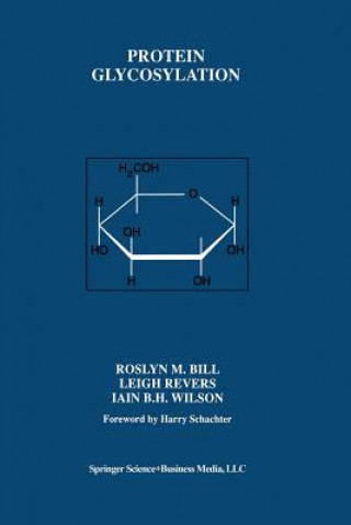Könyv Protein Glycosylation Roslyn M. Bill