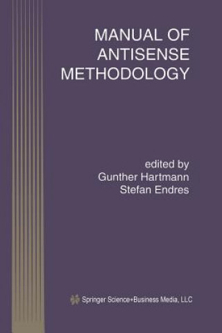 Kniha Manual of Antisense Methodology Stefan Endres