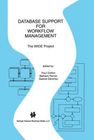Kniha Database Support for Workflow Management Paul Grefen