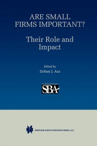 Libro Are Small Firms Important? Their Role and Impact Stephen Ackermann