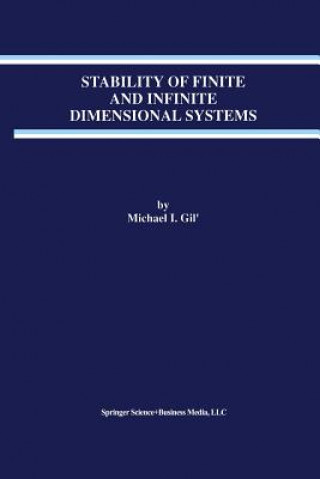 Könyv Stability of Finite and Infinite Dimensional Systems Michael I. Gil'