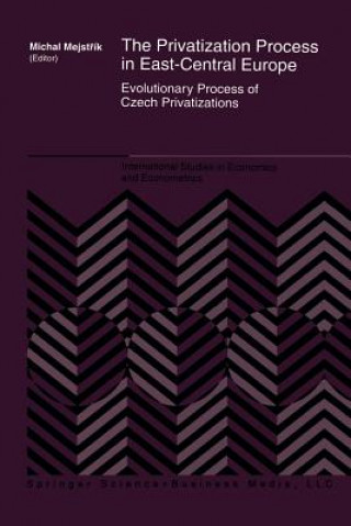 Kniha Privatization Process in East-Central Europe Michal Mejstrík