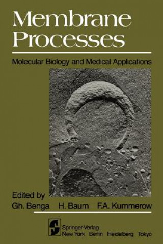 Livre Membrane Processes H. Baum