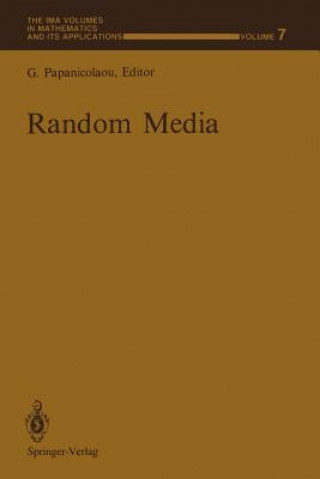 Book Random Media George Papanicolaou