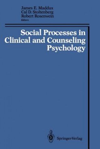 Kniha Social Processes in Clinical and Counseling Psychology James E. Maddux