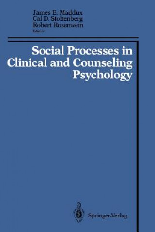 Książka Social Processes in Clinical and Counseling Psychology James E. Maddux