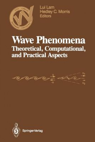 Kniha Wave Phenomena Lui Lam