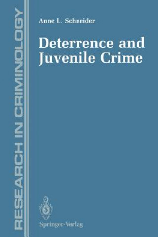 Könyv Deterrence and Juvenile Crime Anne L. Schneider