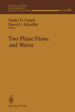 Könyv Two Phase Flows and Waves Daniel D. Joseph