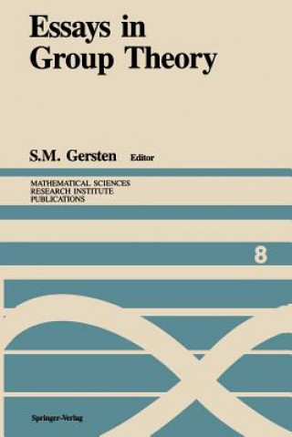 Kniha Essays in Group Theory S. M. Gersten