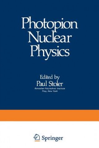 Könyv Photopion Nuclear Physics P. Stoler