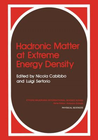 Könyv Hadronic Matter at Extreme Energy Density N. Cabibbo