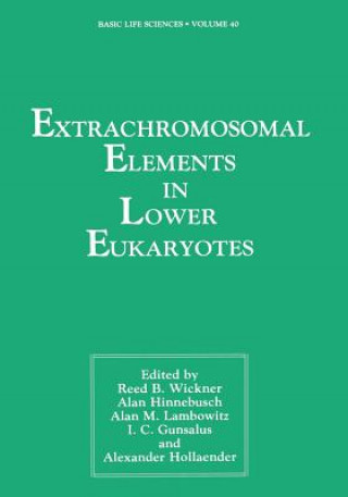 Knjiga Extrachromosomal Elements in Lower Eukaryotes Reed Wickner