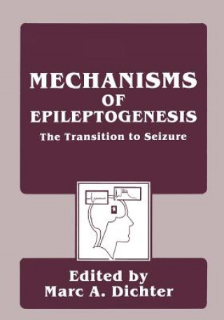 Kniha Mechanisms of Epileptogenesis Marc Dichter