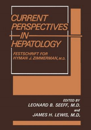 Kniha Current Perspectives in Hepatology James H. Lewis