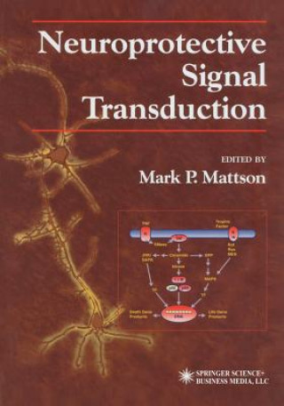 Kniha Neuroprotective Signal Transduction Mark P. Mattson