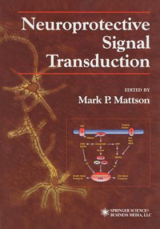 Carte Neuroprotective Signal Transduction Mark P. Mattson