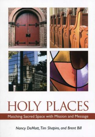 Kniha Holy Places Nancy DeMott