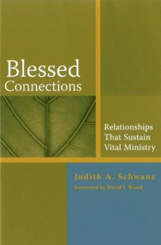 Libro Blessed Connections Judith A. Schwanz