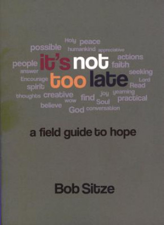 Книга It's Not Too Late Bob Sitze