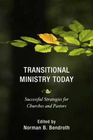 Libro Transitional Ministry Today Norman B. Bendroth