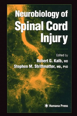 Książka Neurobiology of Spinal Cord Injury Robert G. Kalb