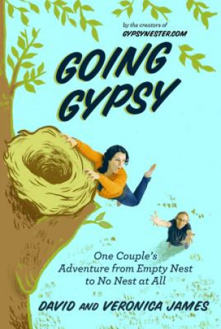 Книга Going Gypsy David James