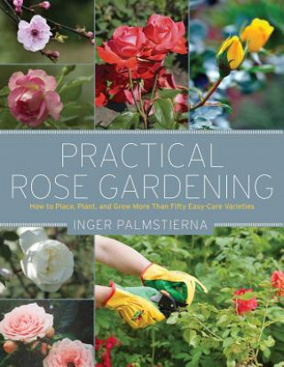 Carte Practical Rose Gardening Inger Palmstierna