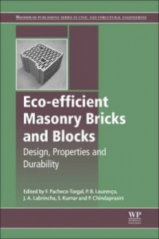 Kniha Eco-efficient Masonry Bricks and Blocks Fernando Pacheco-Torgal