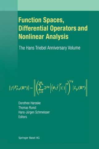 Kniha Function Spaces, Differential Operators and Nonlinear Analysis Dorothee Haroske