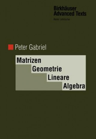 Könyv Matrizen, Geometrie, Lineare Algebra Peter Gabriel