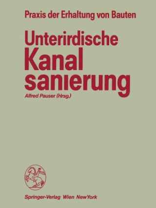 Kniha Unterirdische Kanalsanierung Alfred Pauser