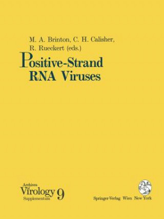 Kniha Positive-Strand RNA Viruses Margo A. Brinton