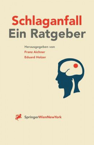 Kniha Schlaganfall Franz Aichner