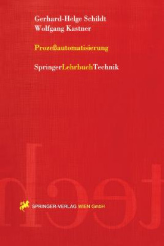 Libro Prozeßautomatisierung Gerhard-Helge Schildt